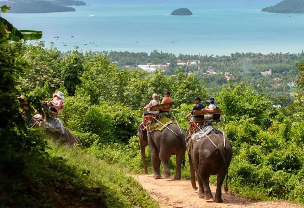 Eco-Friendly Luxury Travel in Vietnam: Discover Sustainable Tourism