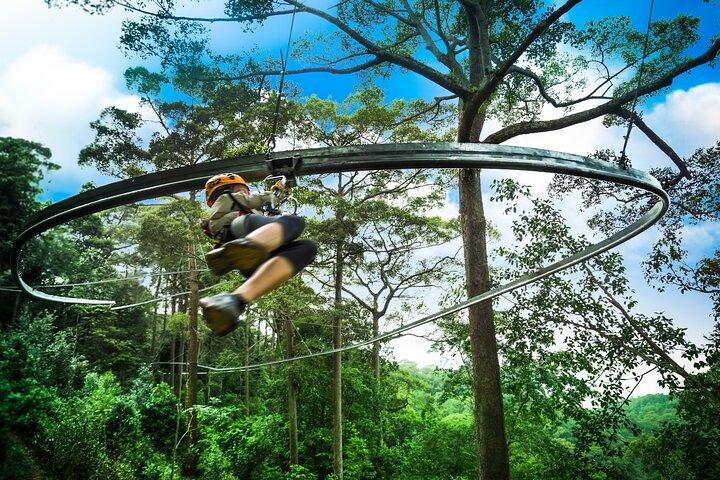 Zipline Jungle Flight roller coaster in Chang Mai