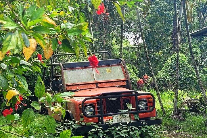 6 Hours Off-Road 4x4 Hidden Gems Adventure in Koh Samui Hills 1 - 4 People