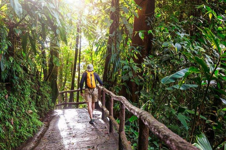 Full day tour to Khao Yai National Park