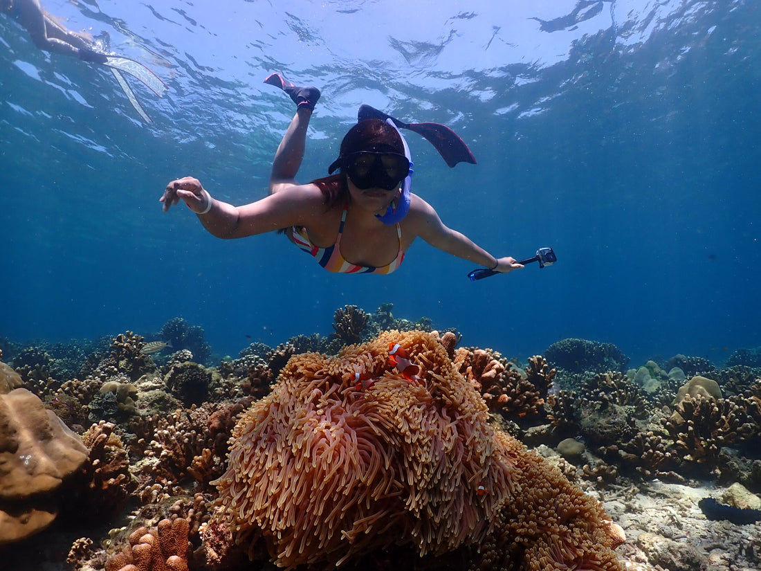 Tour in barca delle Isole Similan (2 giorni / 1 notte)