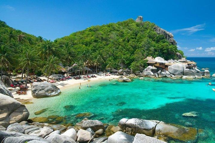 Koh Nangyuan and Koh Tao Snorkeling Tour by Speedboat from Koh Phangan with Lunch