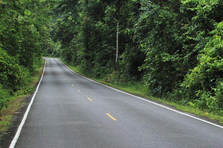 Full day tour to Khao Yai National Park