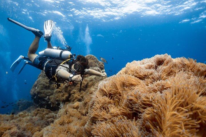 Open Water Course - Become certified diver in 3 days