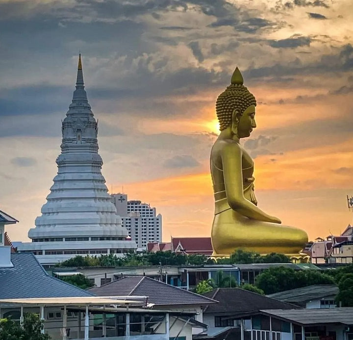 Railway & Floating Market with Dragon Temple & Paknam Phasi Charoen Temple