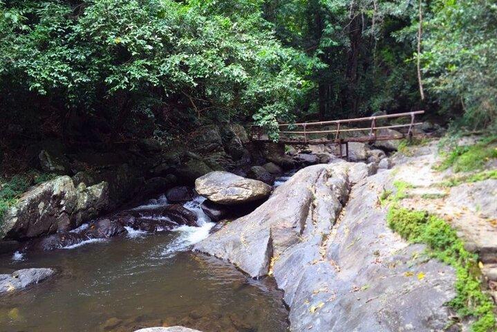 Pala U Waterfall in Kaeng Krachan Jungle with Private Guide from Hua Hin