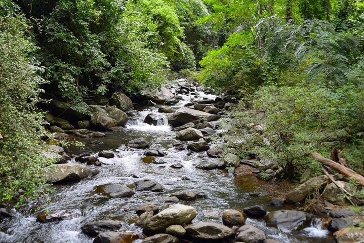 Pala U Waterfall in Kaeng Krachan Jungle with Private Guide from Hua Hin 