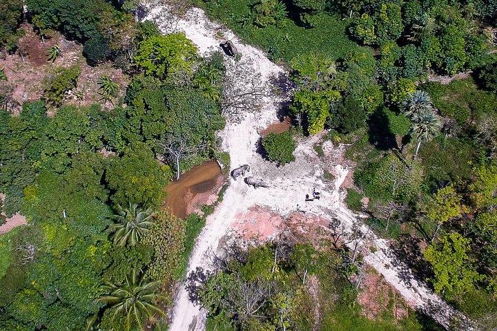 Una mattinata con gli elefanti al Santuario degli elefanti di Phuket