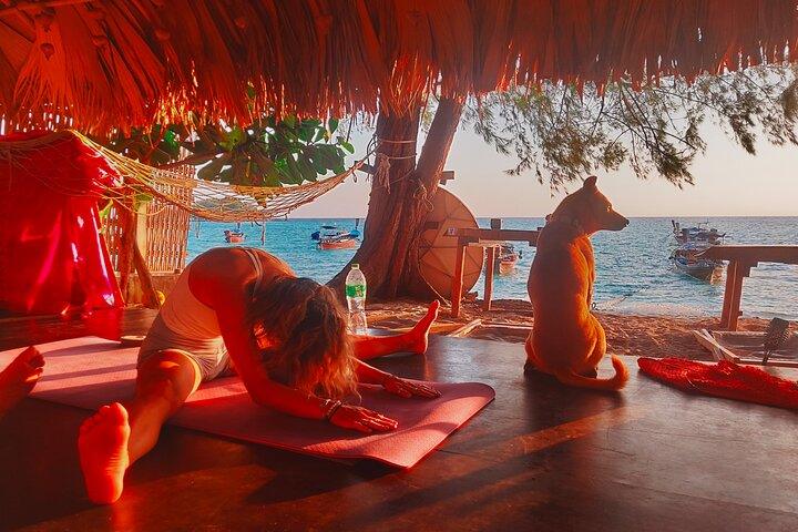 Lezione di yoga all'alba con vista sulla spiaggia, sul mare e sull'alba