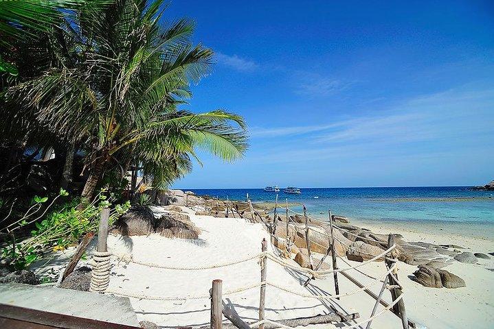 Koh Tao and Koh Nangyuan by speedboat with lunch