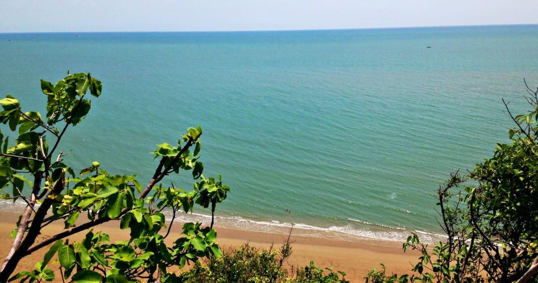 Hua Hin One Day Tour to Dolphin Bay and Monkey Island