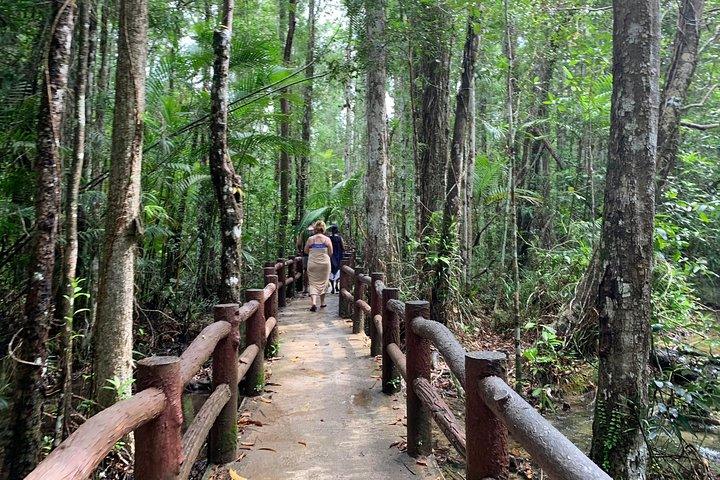 Tour della giungla di Krabi per tutto il giorno (acqua termale, piscina di smeraldo, tempio della grotta della tigre)