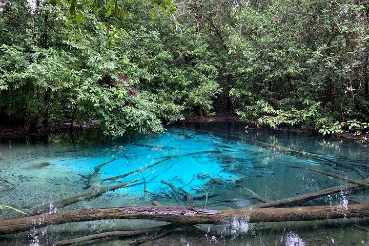 Tour della giungla di Krabi per tutto il giorno (acqua termale, piscina di smeraldo, tempio della grotta della tigre)