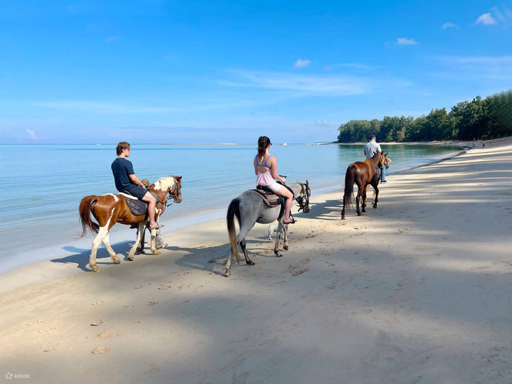 Horse Riding Phuket