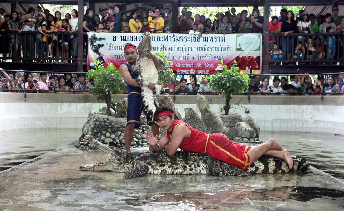 Sampran Crocodile Farm