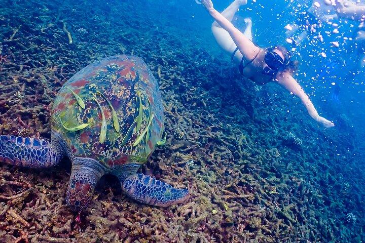 Tour di un'intera giornata di 5 isole intorno a Koh Tao e Koh Nangyuan con Pranzo