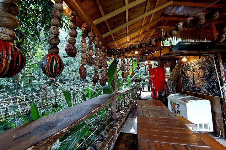 Tree Bridge Cafe &amp; Zipline - Jungle Flying Adventure in Koh Samui