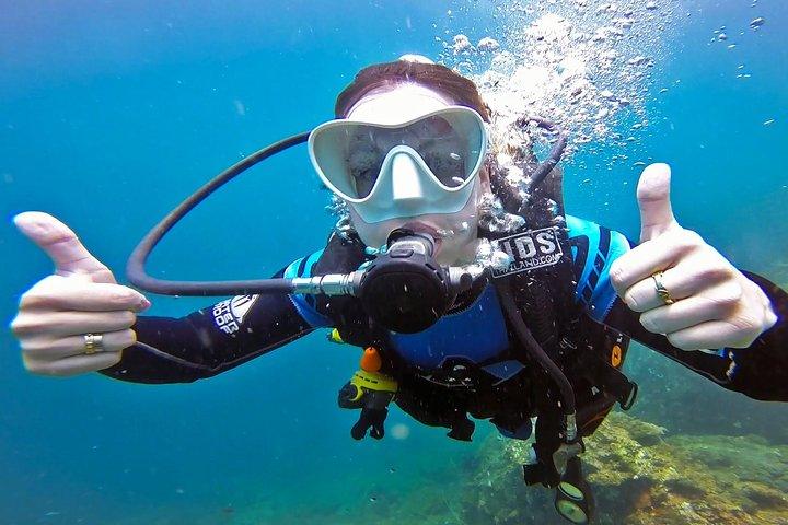 PADI Scopri le immersioni subacquee a Sail Rock da Koh Phangan (principianti) con Pranzo