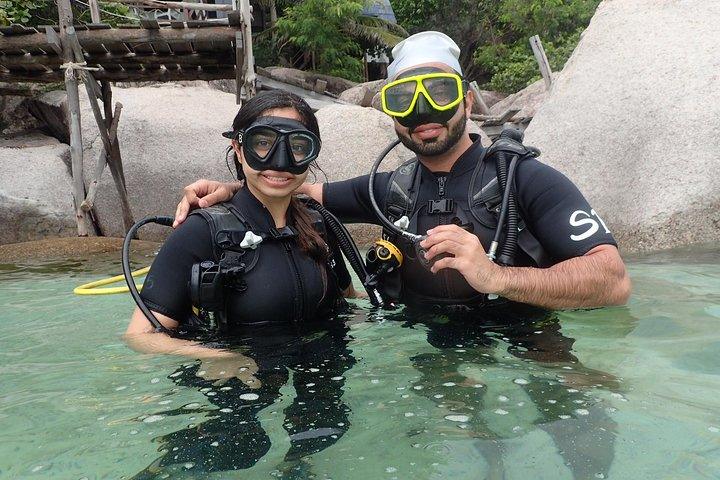 PADI Discover Scuba Diving a Koh Tao: mezza giornata e due immersioni