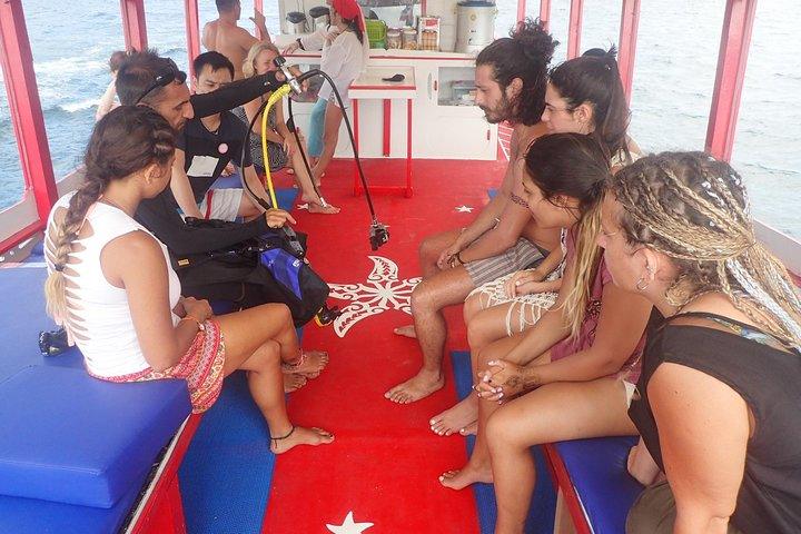 PADI Discover Scuba Diving in Koh Tao: Half Day and Two Dives