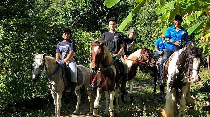 Horse Riding Phuket