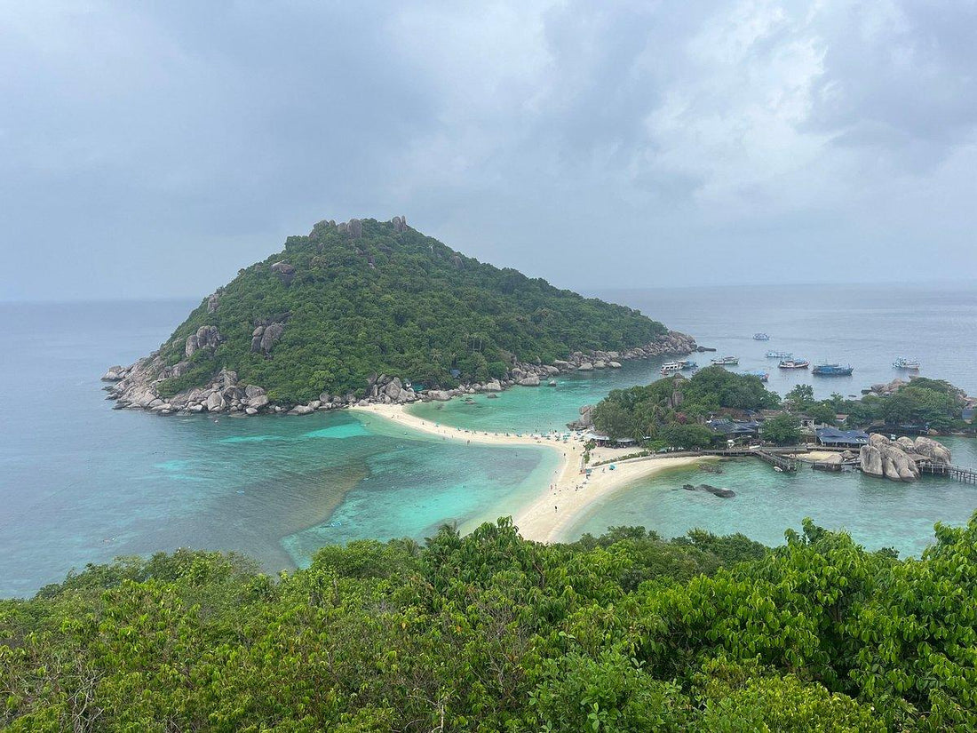 Koh Tao and Koh Nangyuan by speedboat with lunch