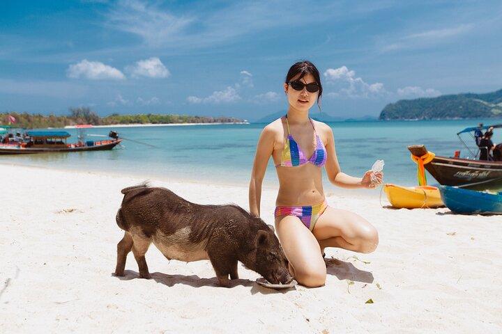 Gita privata in barca Longtail a Pig Island da Koh Samui