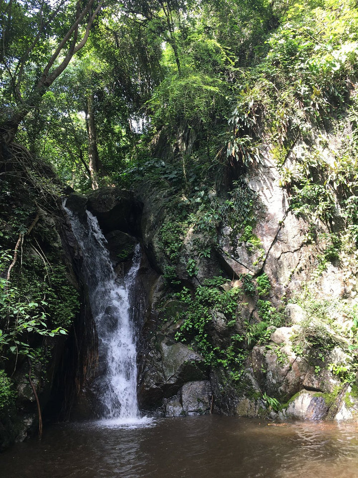 Waterfall & Nature Escape in Pattaya (Full-Day Tour)