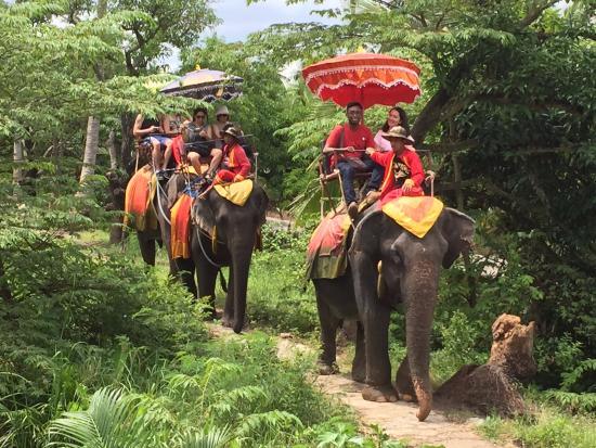 Damnern Saduak Floating Market And Elephant Riding