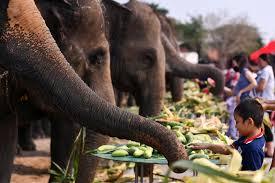 Bang Pa-In Palace / Ayutthaya & Elephant Feeding