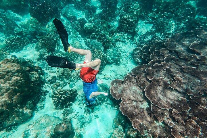 Tour VIP di snorkeling a Koh Tao