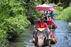 Damnern Saduak Floating Market And Elephant Riding