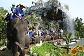 Damnern Saduak Floating Market And Elephant Riding