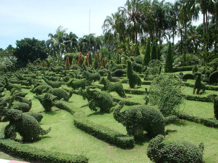 Nature & Adventure in Pattaya (Full-Day Tour)