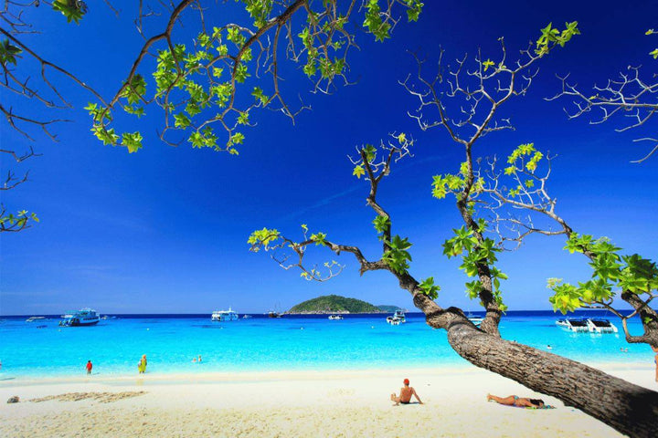 Phi Phi Island Adventure – Speedboat Escape from Phuket